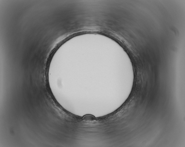 X0000111431168200908101110