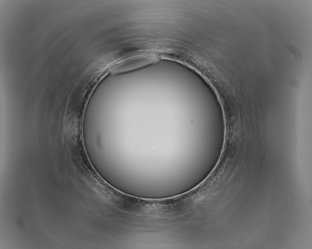 X0000111431169200908101110