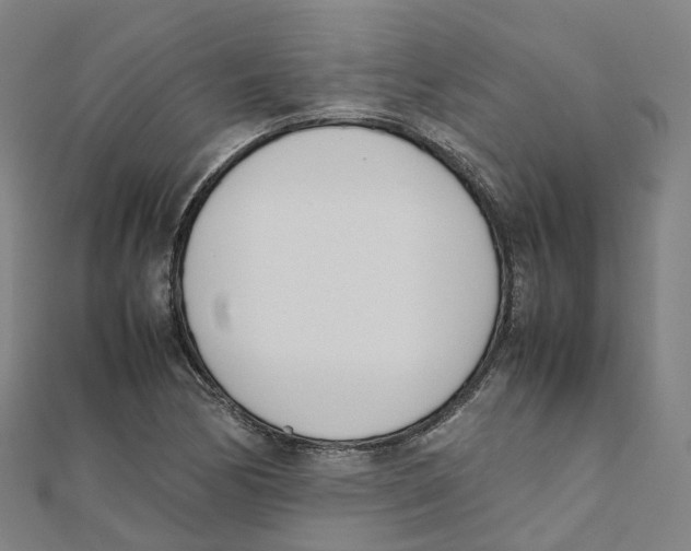 X0000111431170200908101110