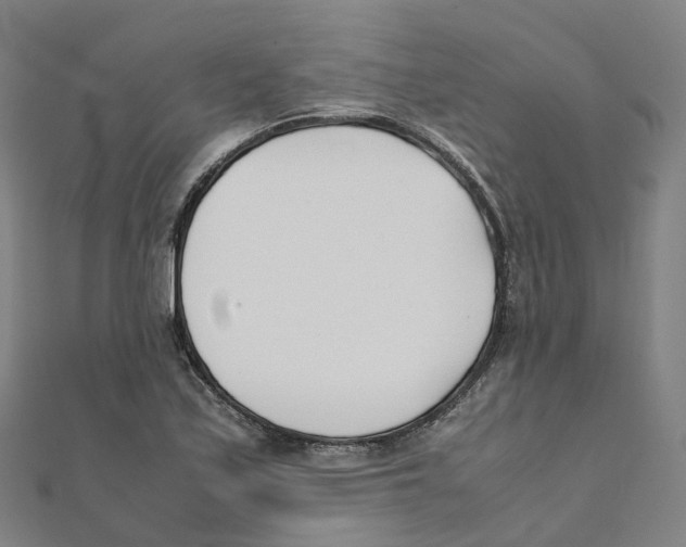 X0000111431171200908101110
