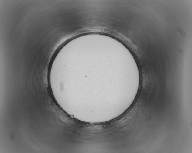 X0000111431174200908101110