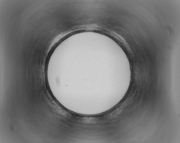X0000111431176200908101110