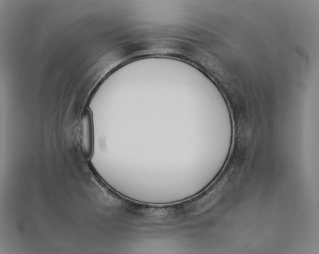 X0000111431177200908101110