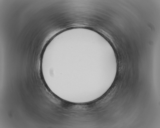 X0000111431179200908101110