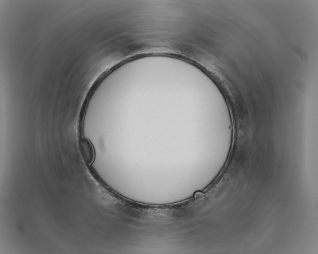 X0000111431181200908101110