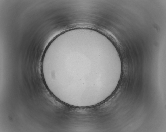 X0000111431182200908101110
