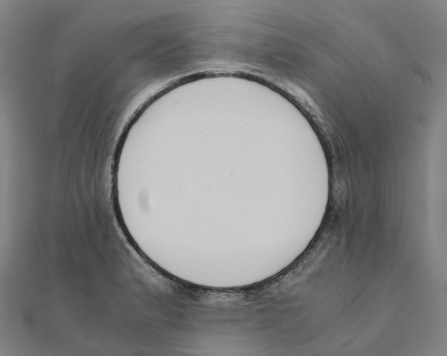 X0000111431183200908101110