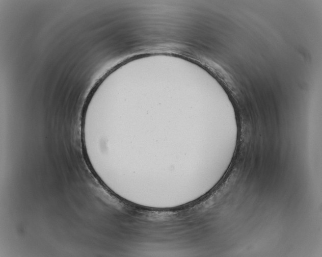 X0000111431184200908101110