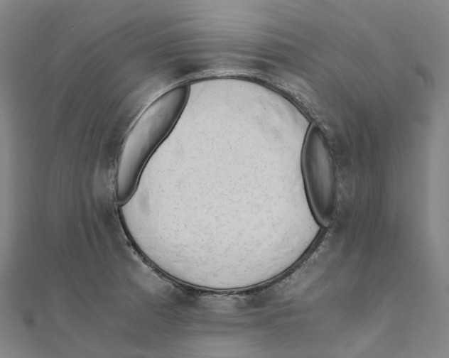 X0000111431185200908101110