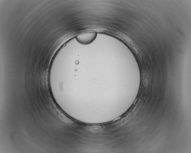 X0000111431186200908101110