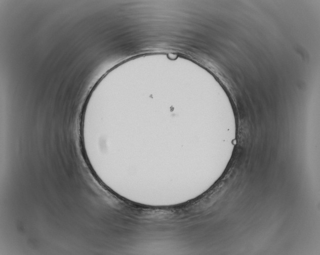 X0000111431187200908101110