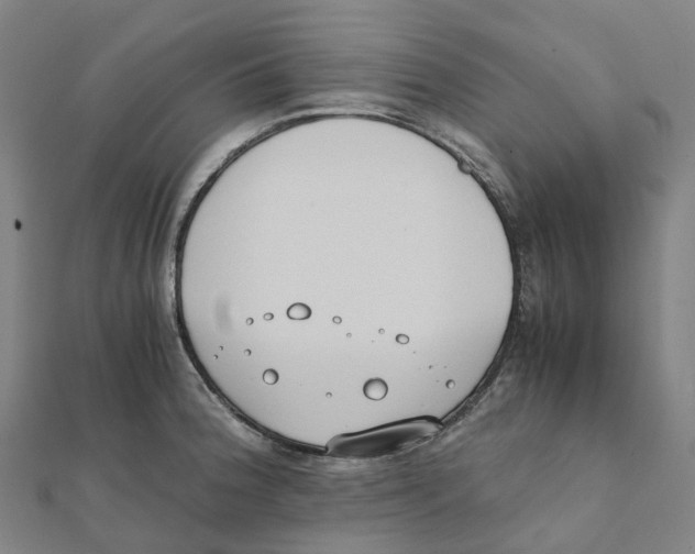X0000111431188200908101110