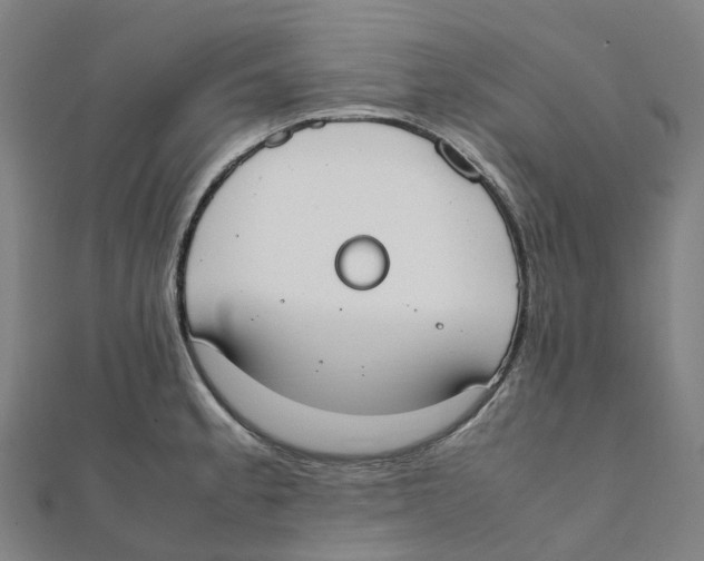 X0000111431189200908101110