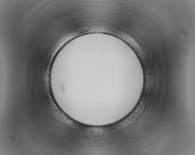 X0000111431190200908101110