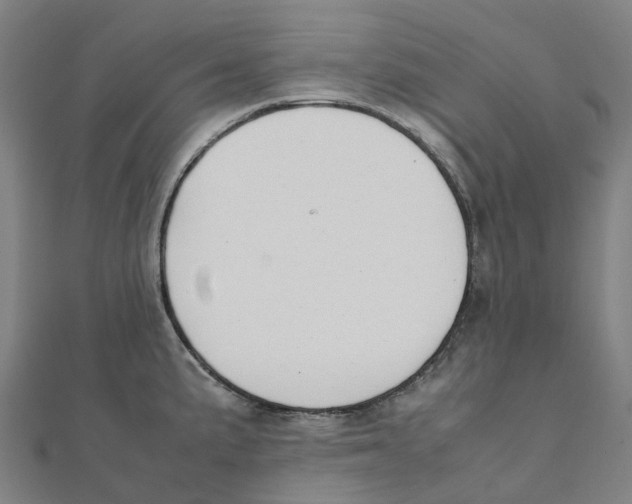 X0000111431191200908101110