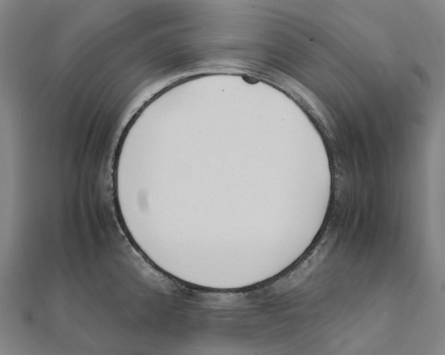 X0000111431192200908101110
