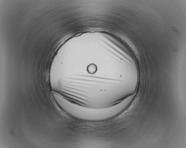 X0000111431193200908101110