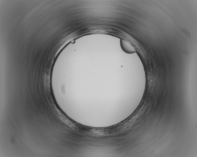 X0000111431194200908101110