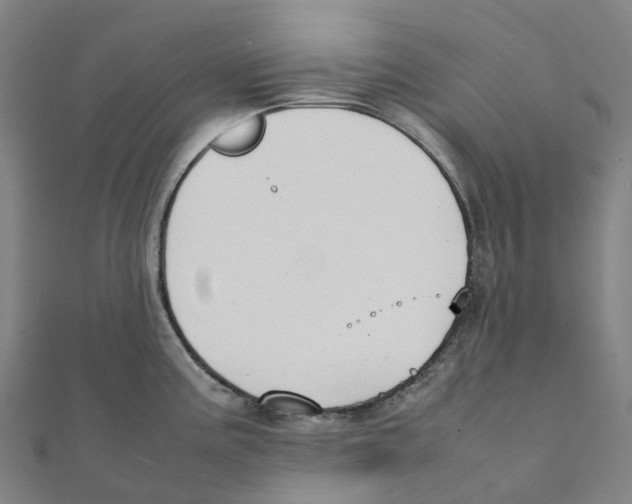 X0000111431195200908101110