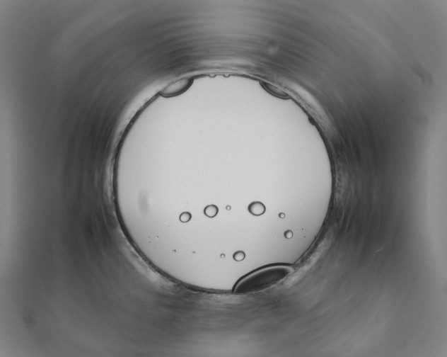X0000111431196200908101109