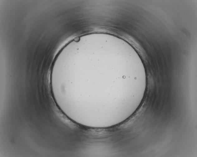X0000111431198200908101109