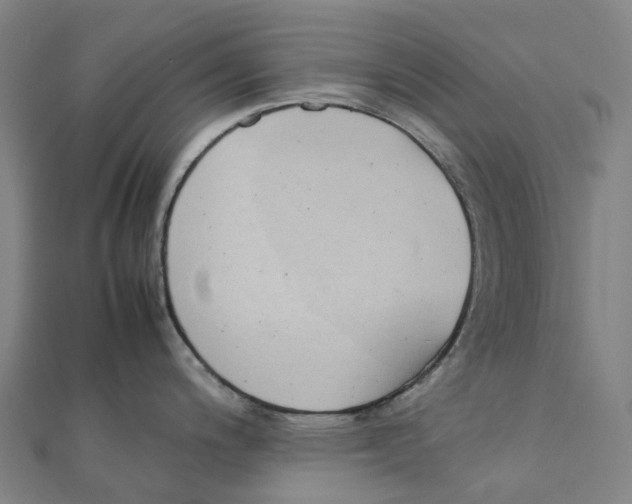 X0000111431200200908101109