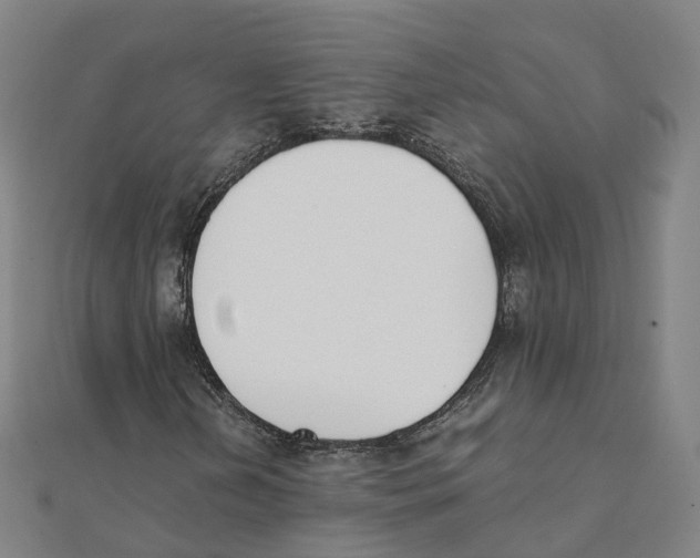 X0000111431202200908101109