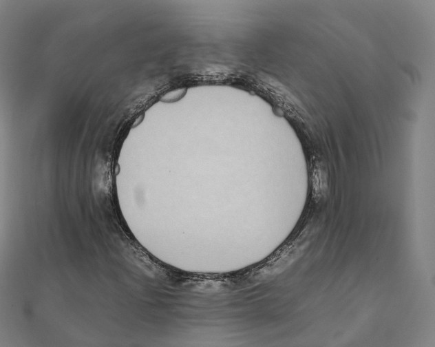 X0000111431204200908101109
