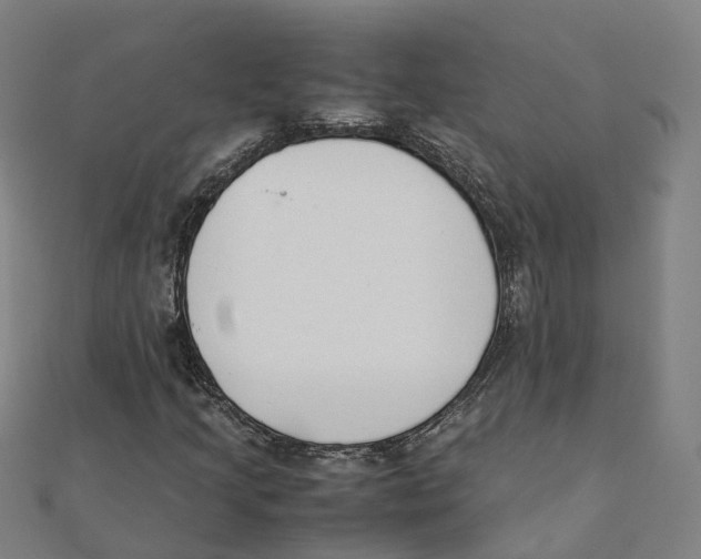 X0000111431205200908101109