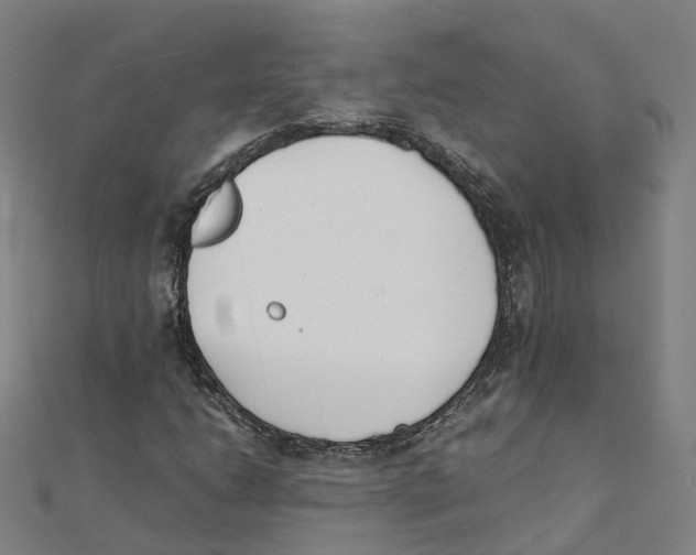X0000111431206200908101109