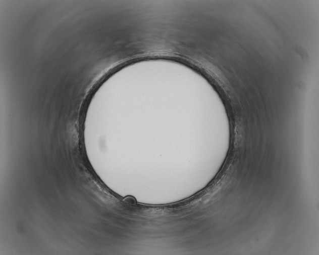 X0000111431212200908101109