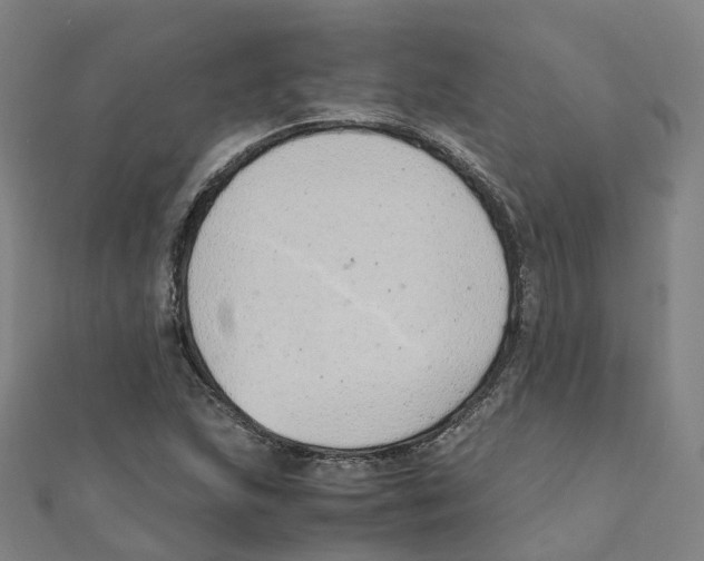 X0000111431215200908101109