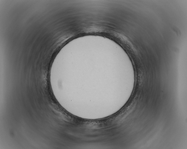 X0000111431217200908101109