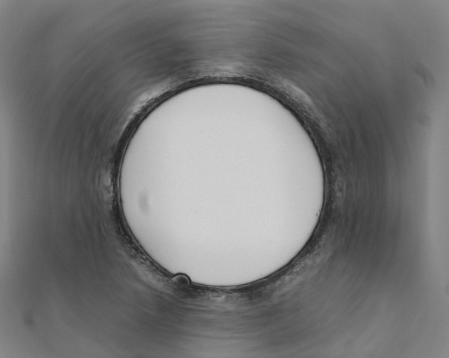 X0000111431218200908101109