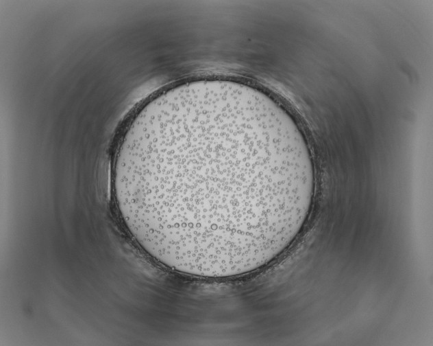 X0000111431219200908101109