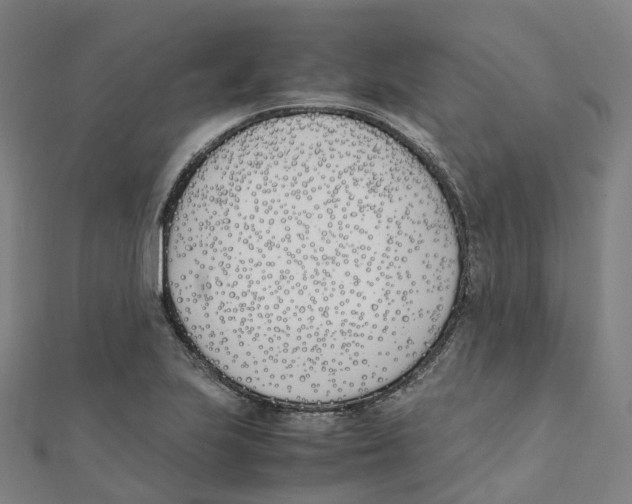 X0000111431223200908101109
