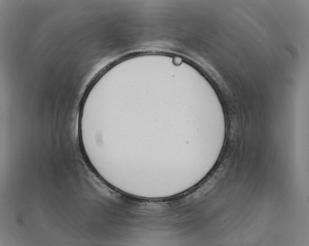 X0000111431224200908101109