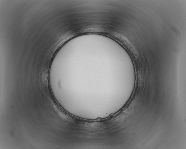 X0000111431225200908101109