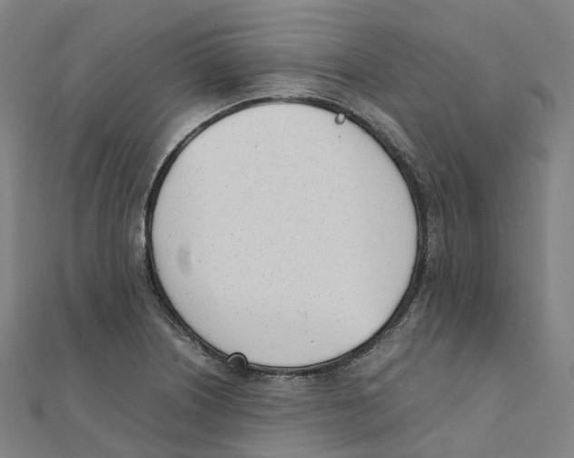 X0000111431226200908101109