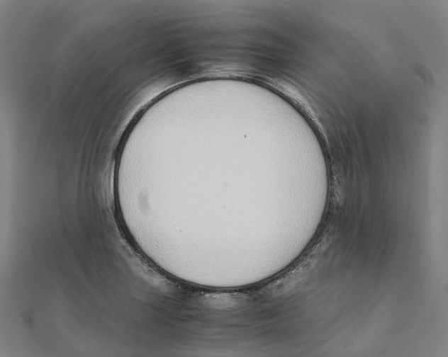 X0000111431227200908101109