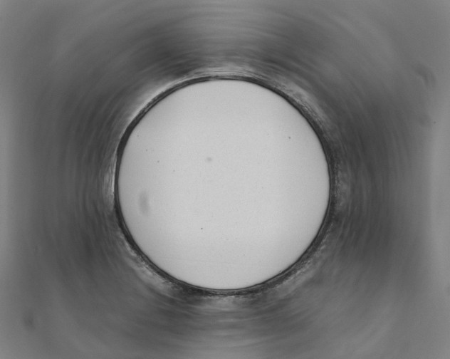 X0000111431228200908101109