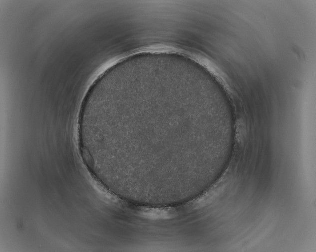 X0000111431229200908101109