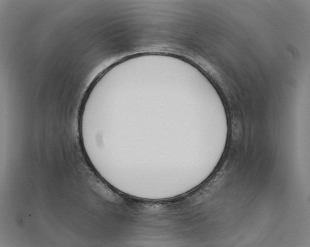 X0000111431230200908101109