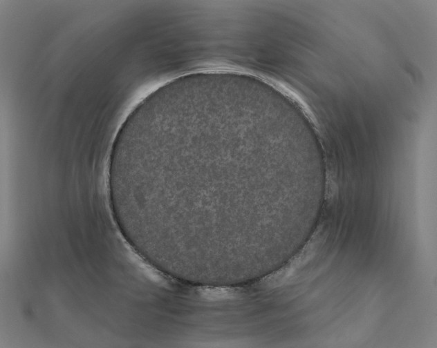 X0000111431231200908101109