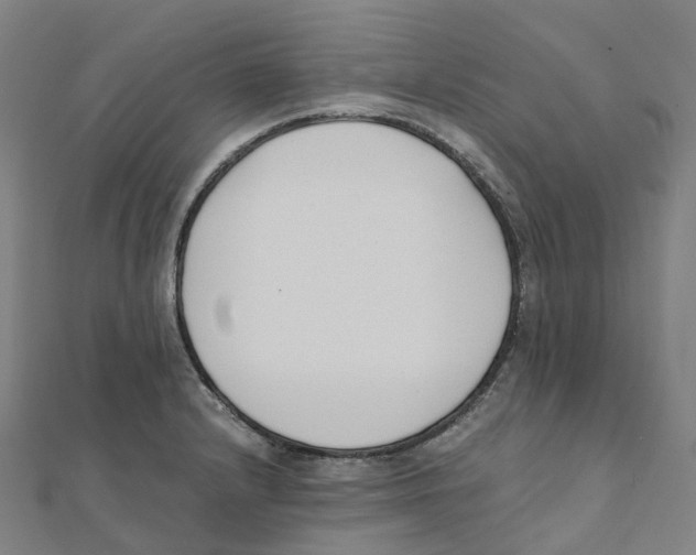 X0000111431232200908101109
