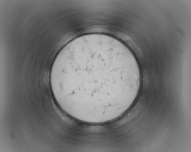 X0000111431233200908101109