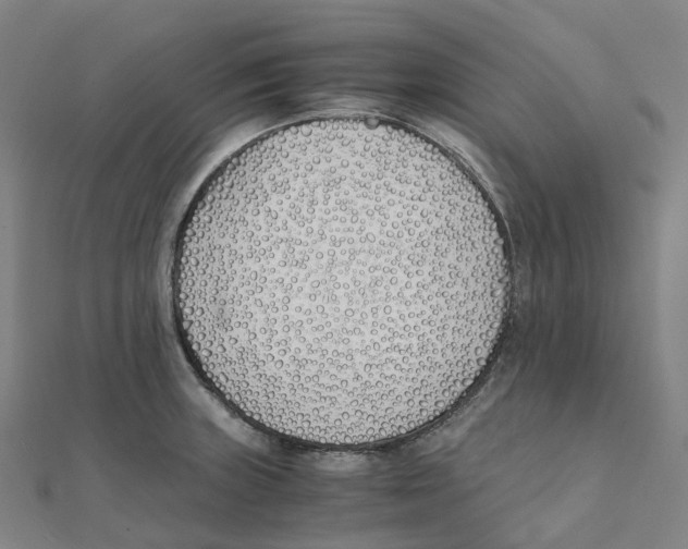 X0000111431235200908101109