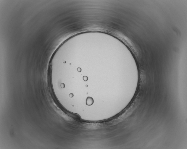 X0000111431236200908101109