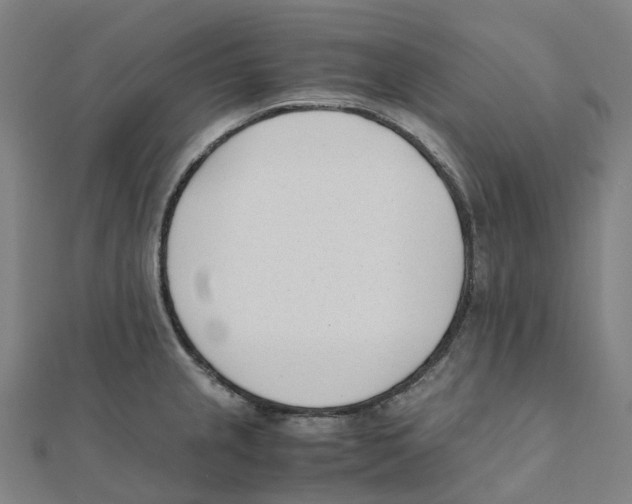 X0000111431237200908101109