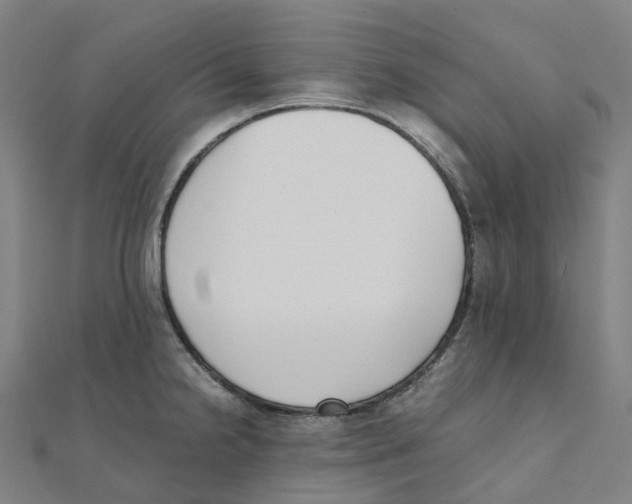X0000111431238200908101109